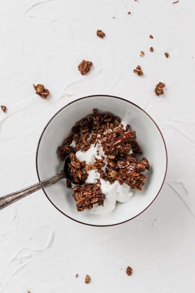 Bowl of yogurt with chocolate granola.