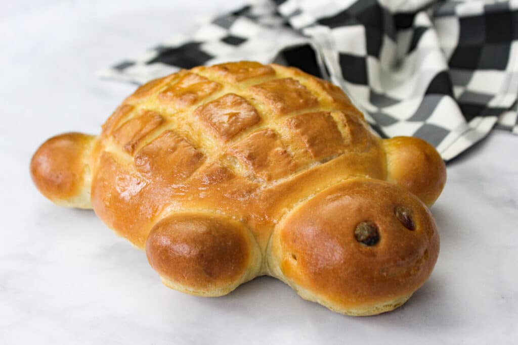 Close up of baked turtle bread.