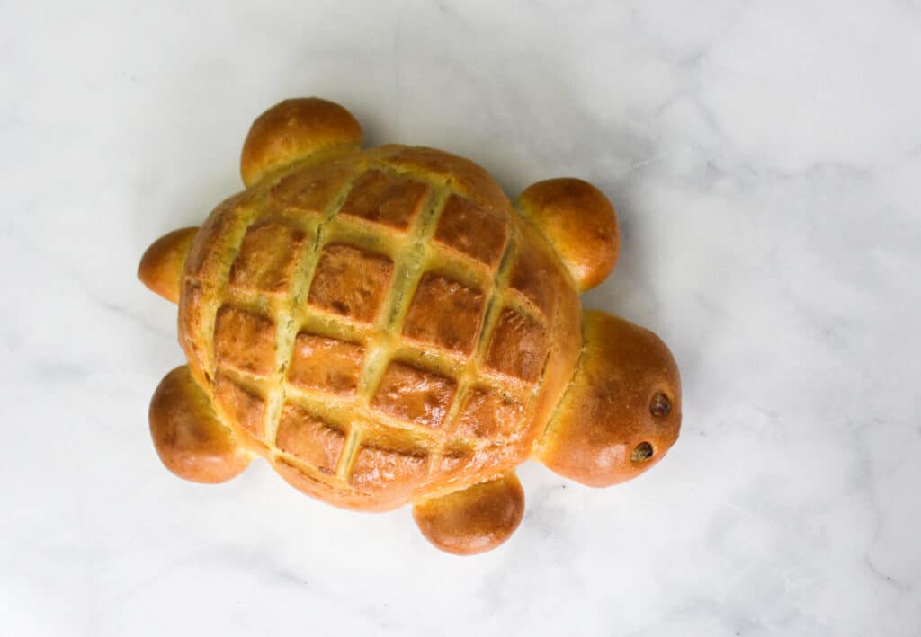 Final baked turtle bread.