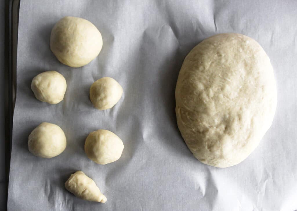 Turtle bread shapes.