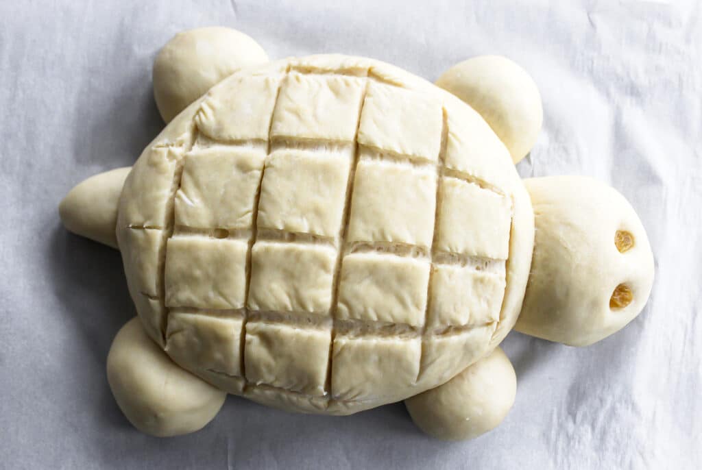 Bread dough after scoring.