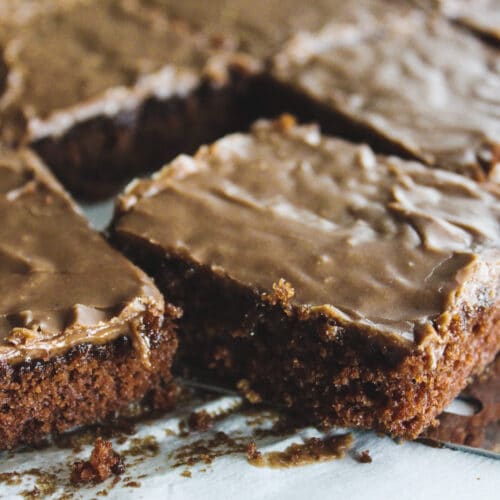 Texas Brownies with Fudge Frosting Run to the Table